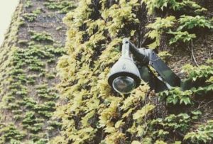 security camera