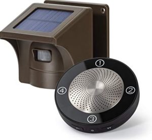 sensor